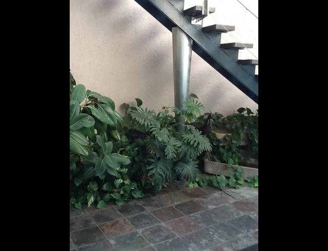 BUSINESS FOR SALE IN WELGELEGEN